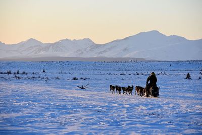 View of horse on snowcapped mountain against sky