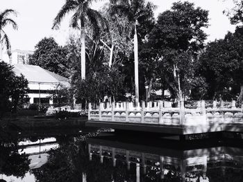 People walking in city