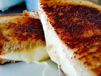 Close-up of bread in plate
