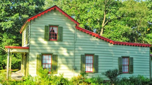 Exterior of house amidst trees and plants in forest