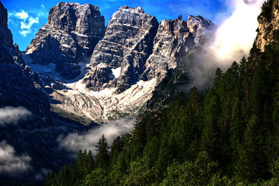 Panoramic view of pine trees against sky