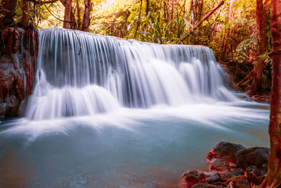 Scenic view of waterfall in forest