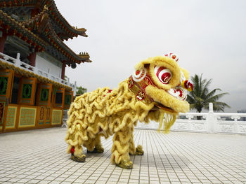 Yellow lion dance at temple