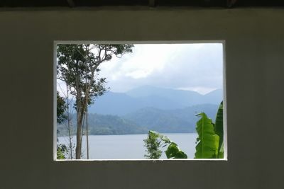 View of trees seen through window