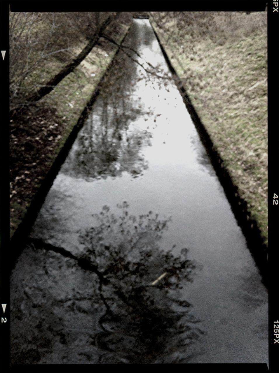 transfer print, auto post production filter, water, reflection, river, tree, nature, tranquility, outdoors, lake, high angle view, day, tranquil scene, no people, sky, puddle, sunlight, beauty in nature, scenics, waterfront