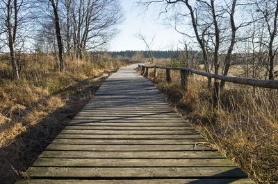 Wooden footbridge along trees