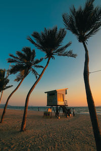 Scenic view of palm trees on beach against sky