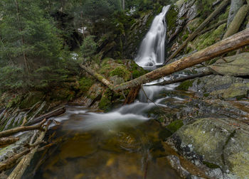 View of waterfall in forest