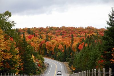 Road amidst trees against sky during autumn