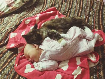 High angle view of cat sleeping by baby girl on bed at home