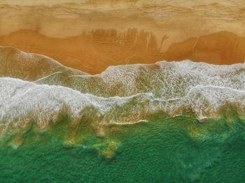 Scenic view of sea shore
