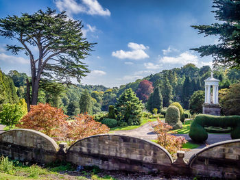 Trees and plants in park against sky during autumn