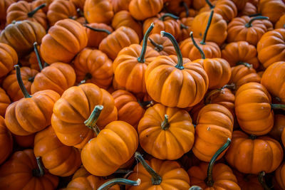 Full frame shot of pumpkins for sale at market stall