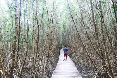 Rear view of woman walking on walkway amidst trees in forest