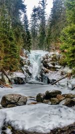 Scenic view of waterfall in forest against sky