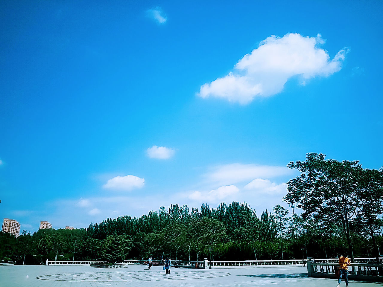 tree, cloud - sky, sky, blue, day, outdoors, water, nature, beauty in nature, swimming pool, architecture, no people