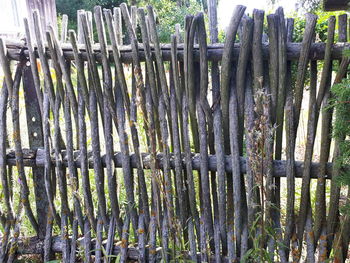 Close-up of bamboo fence on field