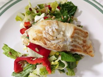 Close-up of salad in plate