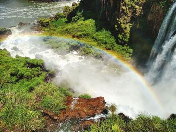 Scenic view of waterfall in forest