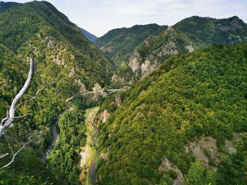 High angle view of trees and mountains against sky