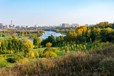 Scenic view of field against clear sky