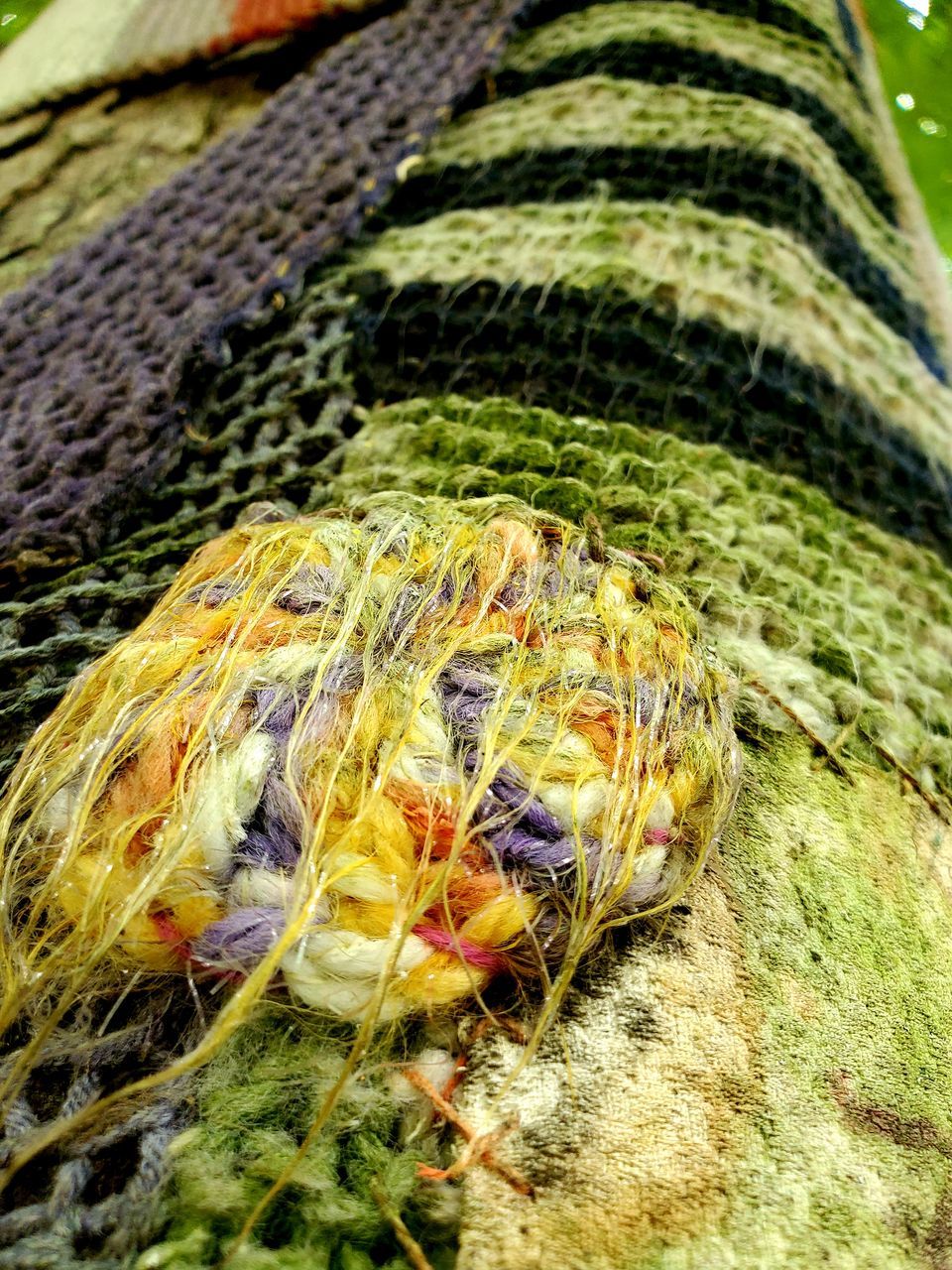 HIGH ANGLE VIEW OF LIZARD ON PLANT