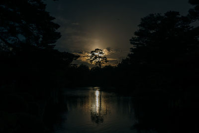 Silhouette trees by lake against sky during sunset