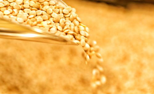 Close-up of wheat on table