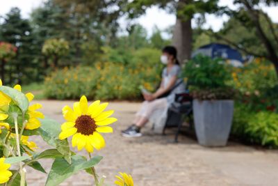 Woman sitting on yellow flowering plants