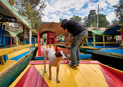 Rear view of man with dog