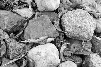 High angle view of rocky shore