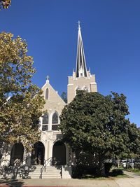 Trees by building against clear blue sky