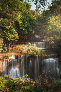 Scenic view of waterfall in forest