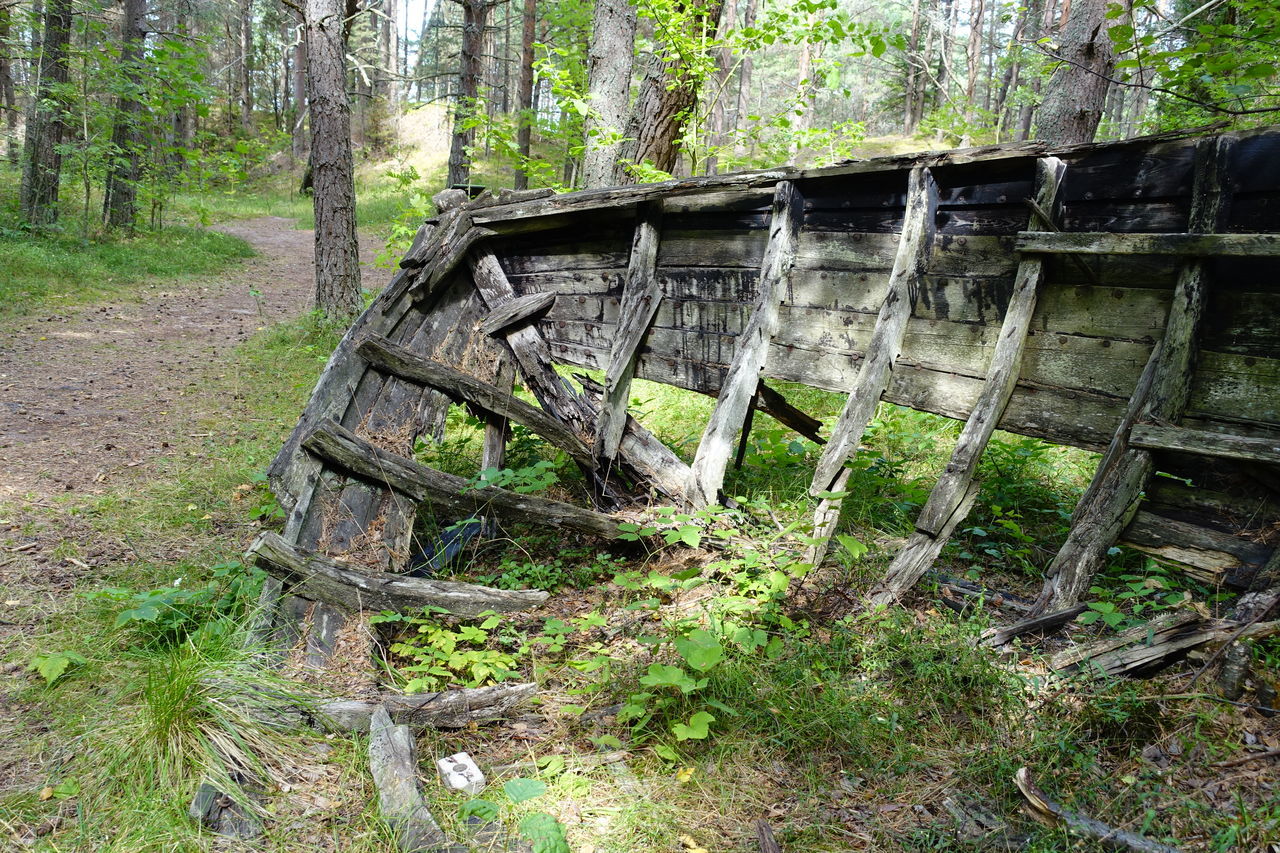 OLD ABANDONED BUILDING