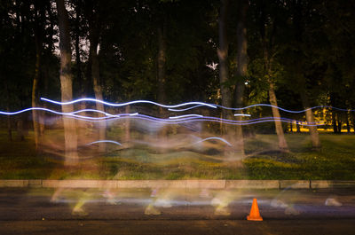 Light trails on road by trees at night