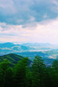 Scenic view of forest against sky