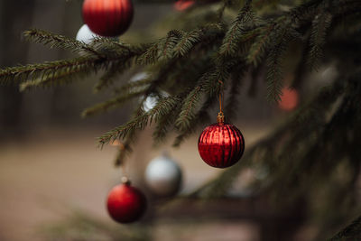 Close-up of christmas decoration hanging on tree