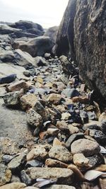 Close-up of pebbles on beach