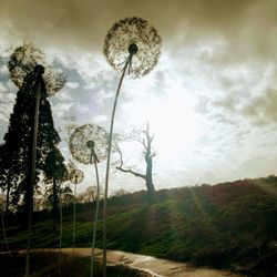 Street light on field against sky