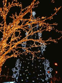 Low angle view of illuminated christmas tree against sky at night