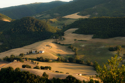 Scenic view of landscape