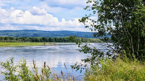 Scenic view of lake against cloudy sky