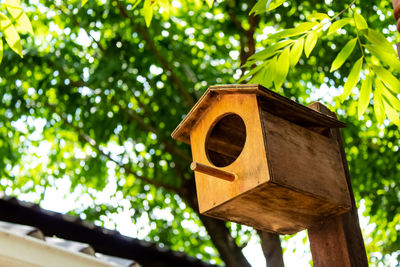 Low angle view of birdhouse on tree