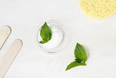 Cosmetic cream, lotion based on mint with green leaves of the plant. 