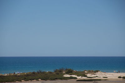 Scenic view of sea against clear blue sky