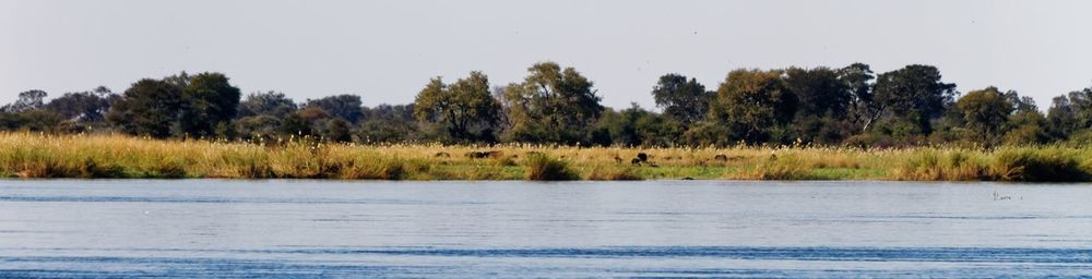 Scenic view of lake against clear sky