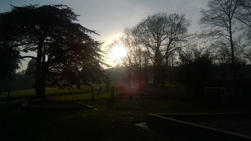 Silhouette trees against sky
