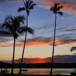 Silhouette palm trees on beach against sky during sunset