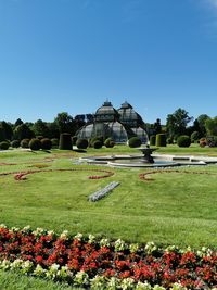 View of plants in garden against clear blue sky