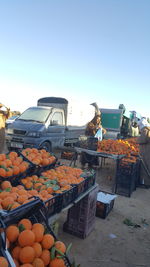 Orange fruits for sale in market stall against clear sky